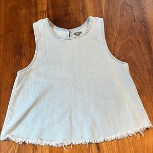 Aerie Light Blue Denim Top